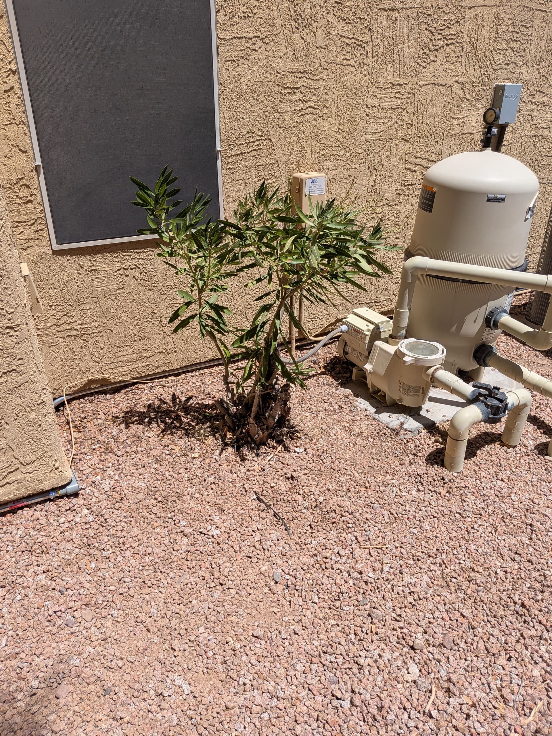 Gallery photos for Hot Tub Wiring Done Right - Dedicated 240V Service Install: Image #4